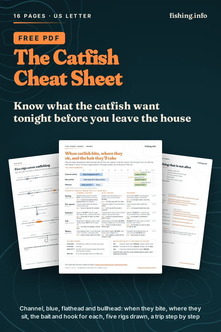 The cover of the free Catfish Cheat Sheet (16-page PDF): know what the catfish want tonight before you leave the house.