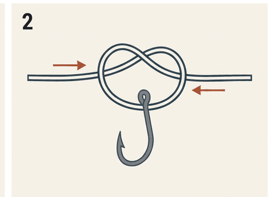 Step 2 of the Palomar knot