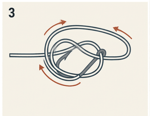 Step 3 of the Palomar knot