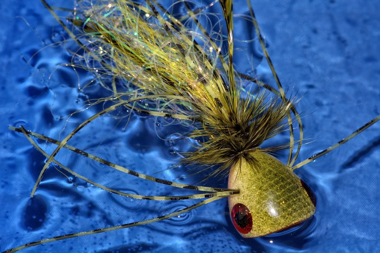 A bass popper with a cupped face, rubber legs and a feather tail, lying on blue water