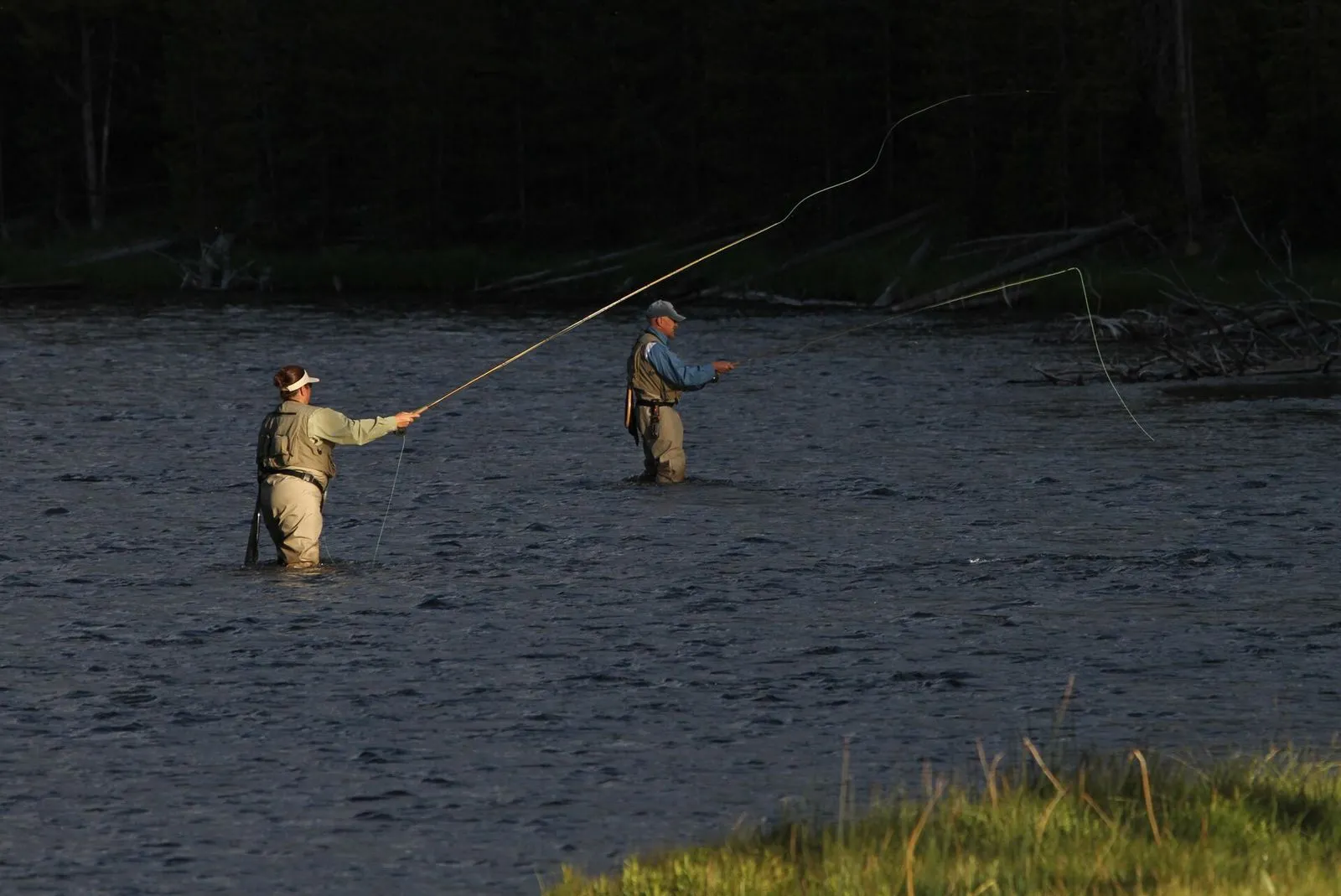 Two anglers fly fishing in the Firehole River at dusk, a line unrolling over the water
