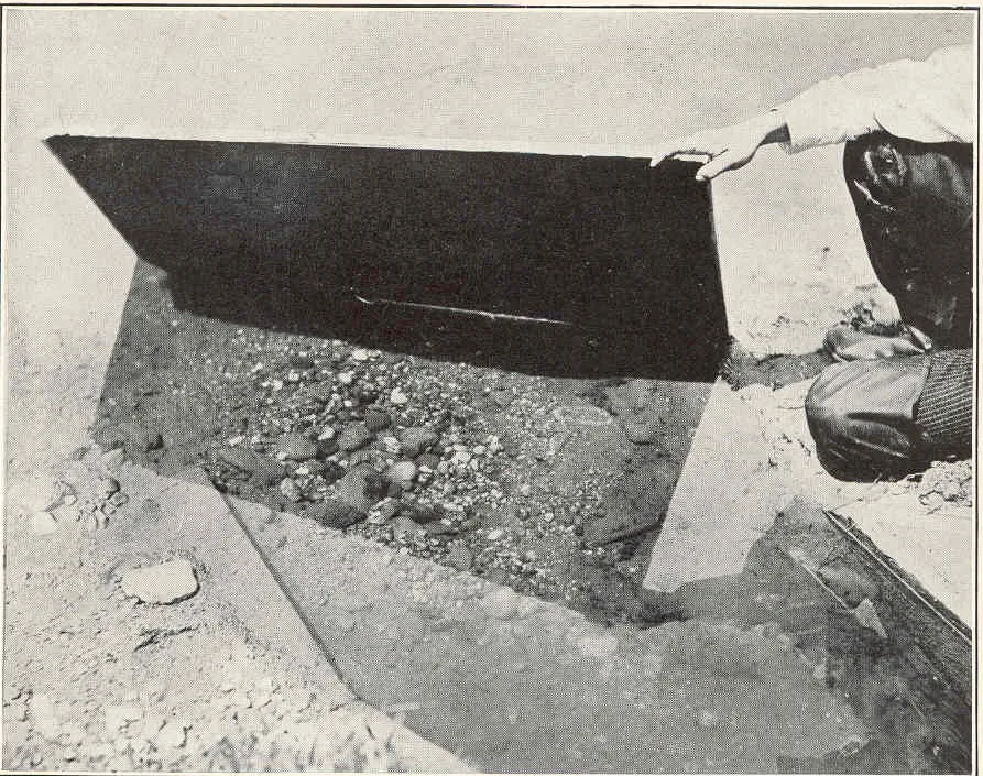 A 1908 photograph of a smallmouth bass nest in a Michigan lake, a cleaned patch of gravel on a sand bottom, taken from above the water through a dark viewing screen held by a researcher