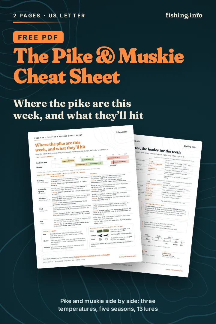 The cover of the free Pike & Muskie Cheat Sheet (2-page PDF): where the pike are this week, and what they'll hit.